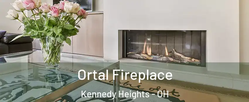 Ortal Fireplace Kennedy Heights - OH