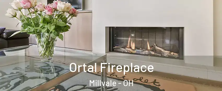 Ortal Fireplace Millvale - OH