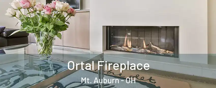 Ortal Fireplace Mt. Auburn - OH