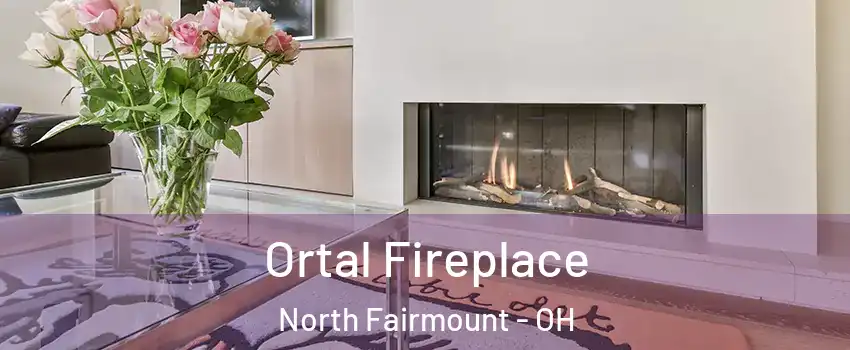 Ortal Fireplace North Fairmount - OH