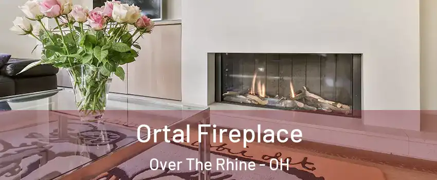 Ortal Fireplace Over The Rhine - OH