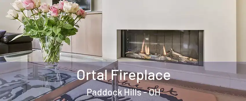 Ortal Fireplace Paddock Hills - OH