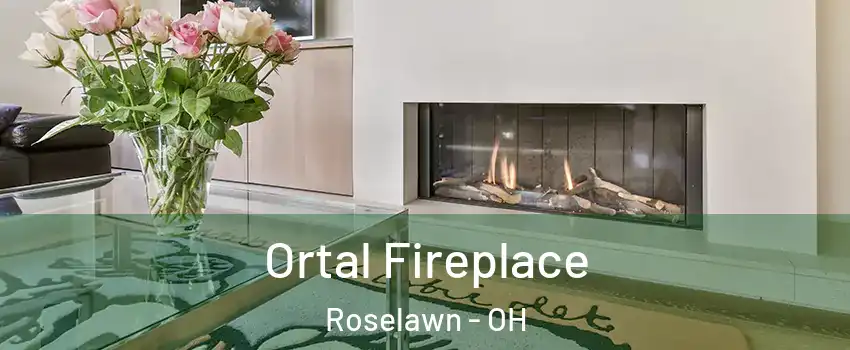 Ortal Fireplace Roselawn - OH