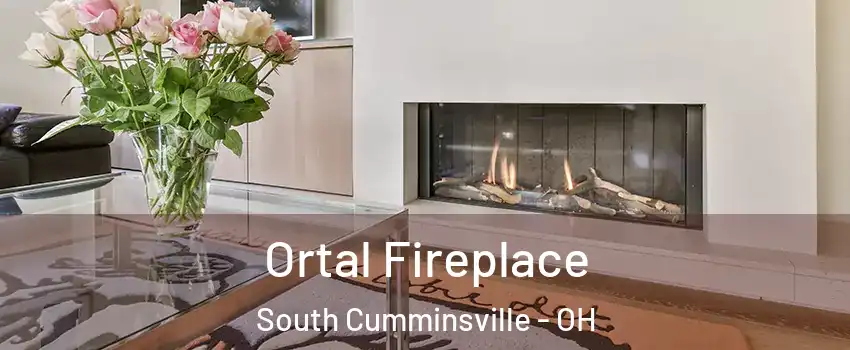 Ortal Fireplace South Cumminsville - OH