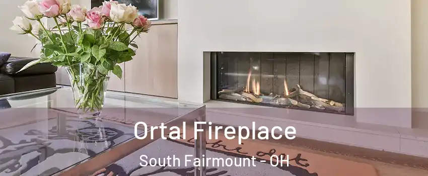 Ortal Fireplace South Fairmount - OH