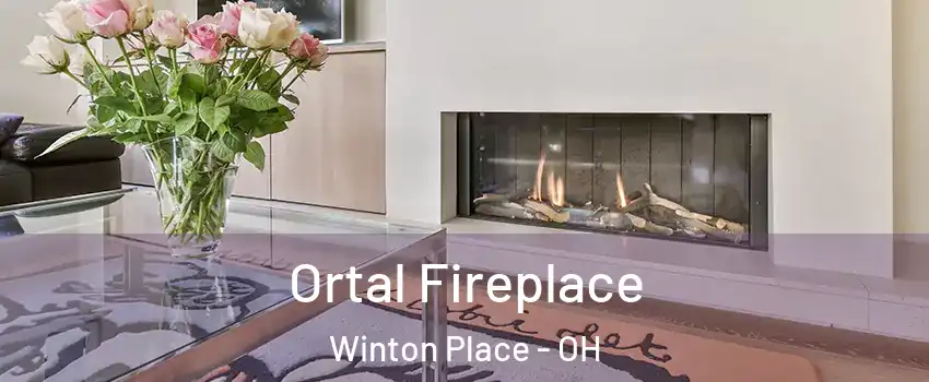 Ortal Fireplace Winton Place - OH