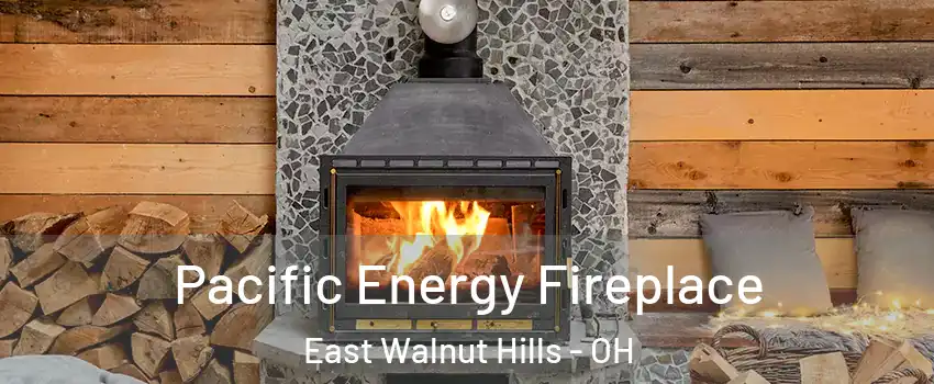 Pacific Energy Fireplace East Walnut Hills - OH