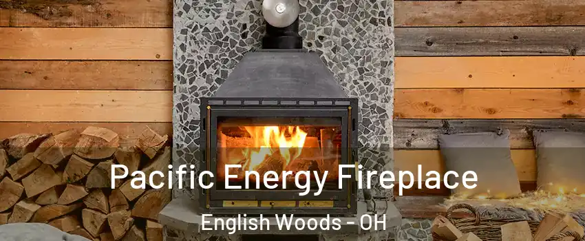 Pacific Energy Fireplace English Woods - OH