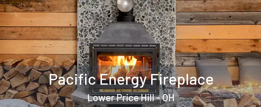 Pacific Energy Fireplace Lower Price Hill - OH