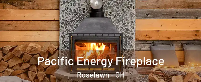 Pacific Energy Fireplace Roselawn - OH