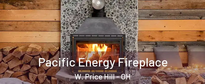 Pacific Energy Fireplace W. Price Hill - OH