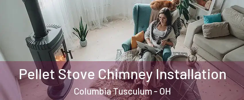 Pellet Stove Chimney Installation Columbia Tusculum - OH