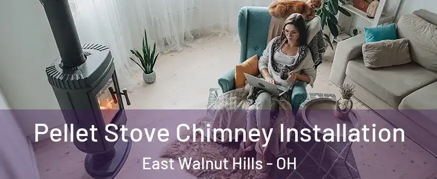 Pellet Stove Chimney Installation East Walnut Hills - OH