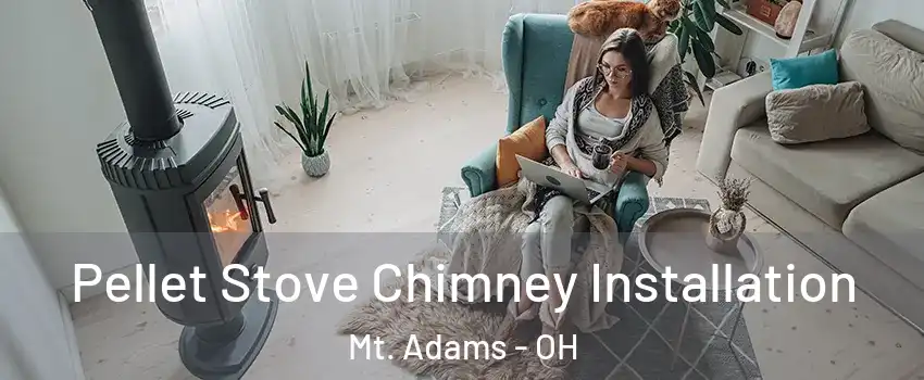 Pellet Stove Chimney Installation Mt. Adams - OH