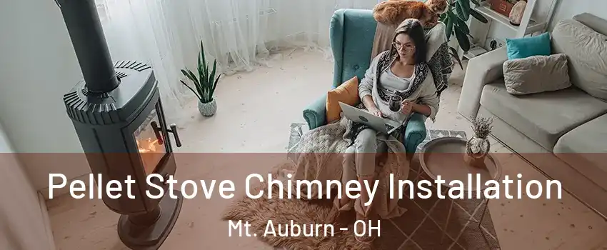 Pellet Stove Chimney Installation Mt. Auburn - OH