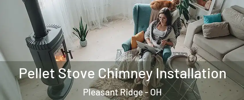 Pellet Stove Chimney Installation Pleasant Ridge - OH