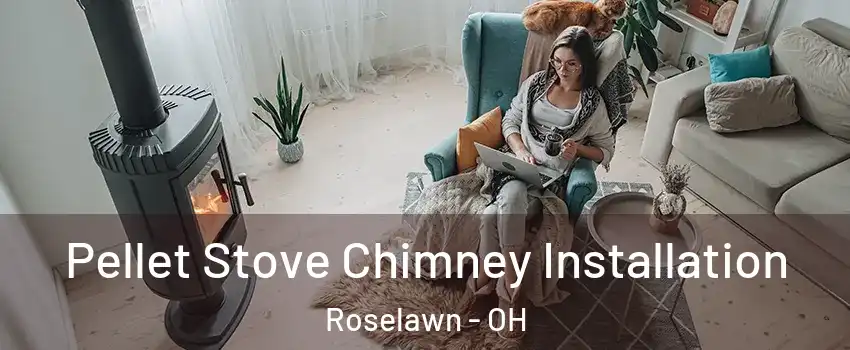 Pellet Stove Chimney Installation Roselawn - OH