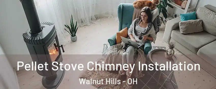 Pellet Stove Chimney Installation Walnut Hills - OH