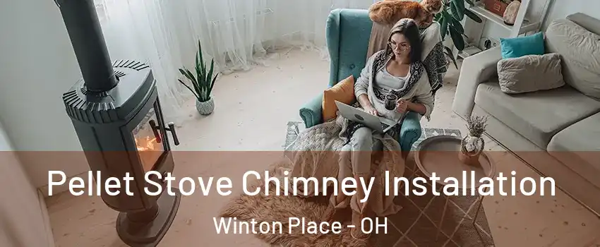 Pellet Stove Chimney Installation Winton Place - OH