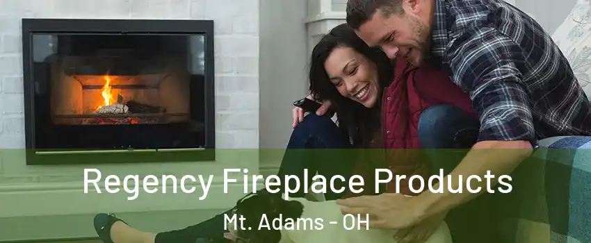 Regency Fireplace Products Mt. Adams - OH