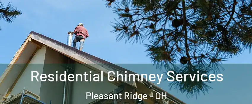 Residential Chimney Services Pleasant Ridge - OH