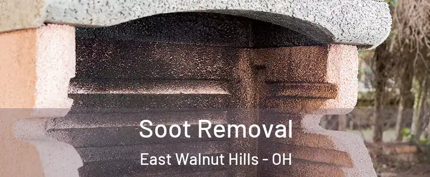 Soot Removal East Walnut Hills - OH