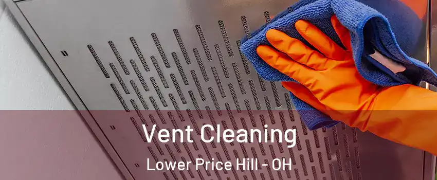 Vent Cleaning Lower Price Hill - OH