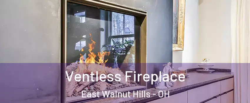 Ventless Fireplace East Walnut Hills - OH