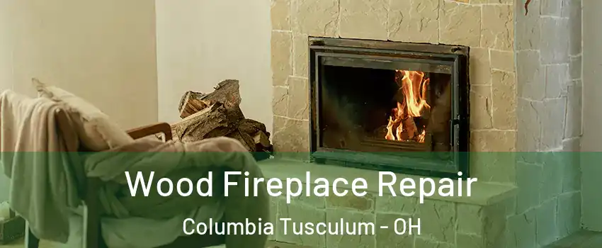 Wood Fireplace Repair Columbia Tusculum - OH