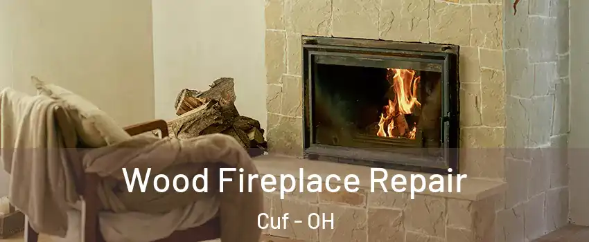 Wood Fireplace Repair Cuf - OH