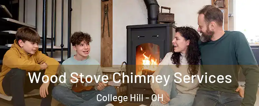 Wood Stove Chimney Services College Hill - OH