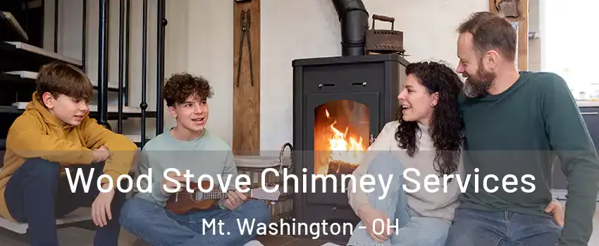 Wood Stove Chimney Services Mt. Washington - OH