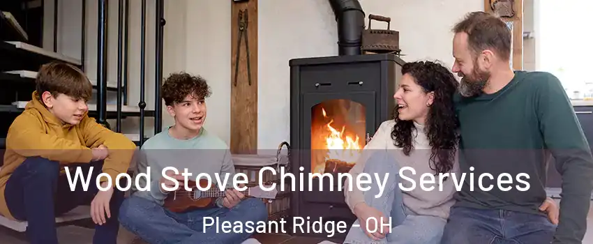 Wood Stove Chimney Services Pleasant Ridge - OH