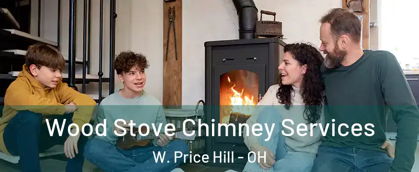 Wood Stove Chimney Services W. Price Hill - OH