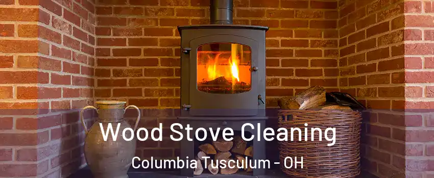 Wood Stove Cleaning Columbia Tusculum - OH