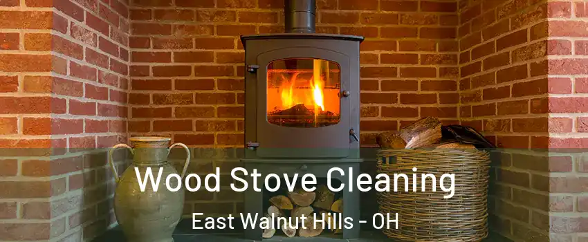 Wood Stove Cleaning East Walnut Hills - OH