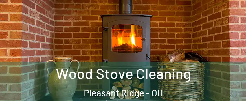 Wood Stove Cleaning Pleasant Ridge - OH