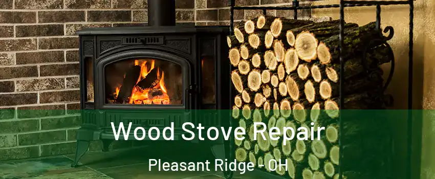 Wood Stove Repair Pleasant Ridge - OH