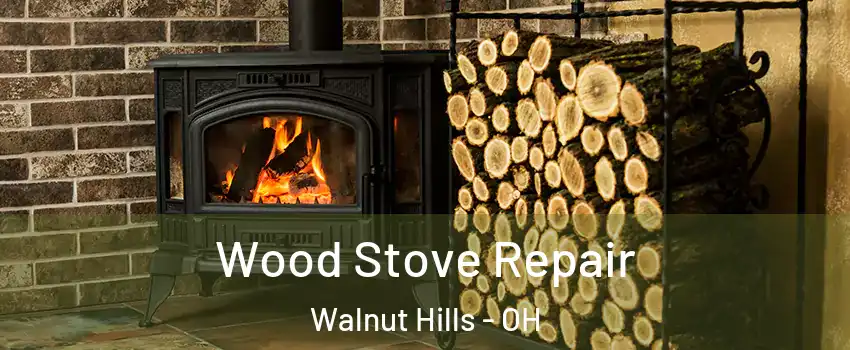 Wood Stove Repair Walnut Hills - OH